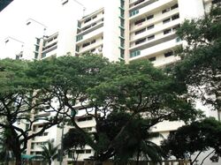 Blk 226 Toa Payoh Eight (Toa Payoh), HDB 4 Rooms #580651981